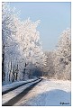 Sneeuwlandschap Verkensbos 3